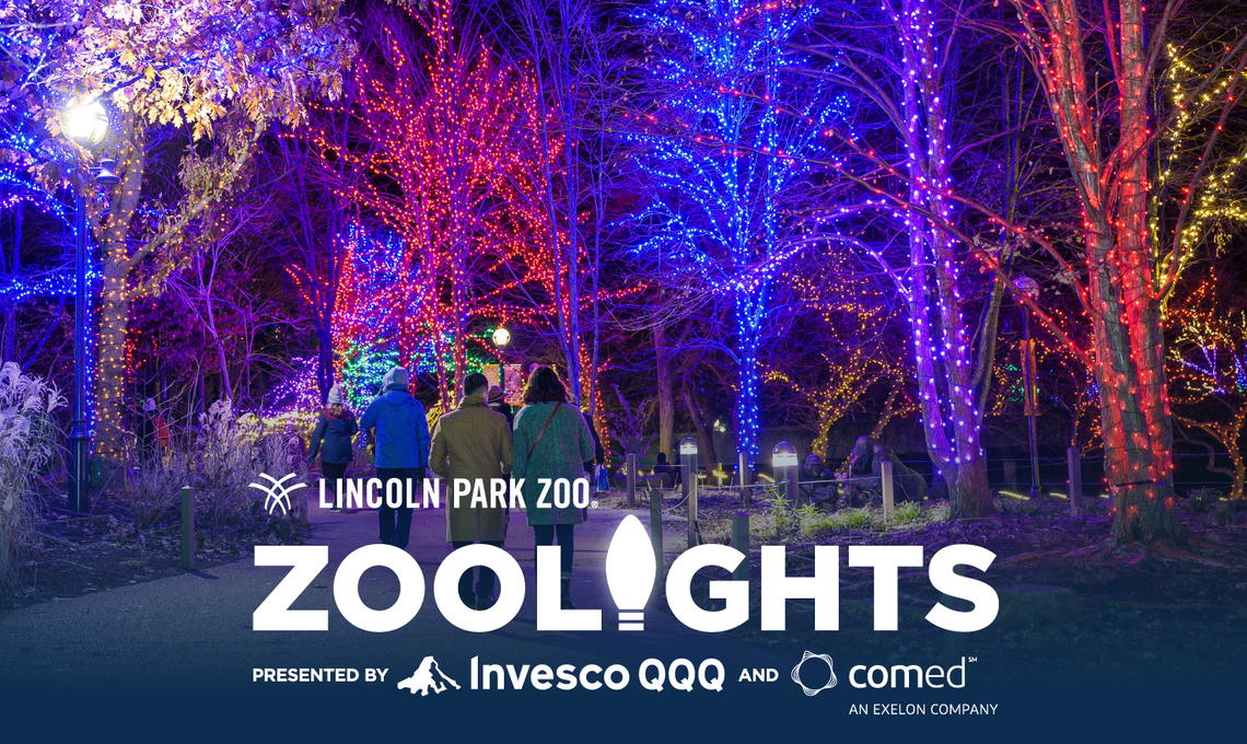 Lincoln Park Zoo Lights