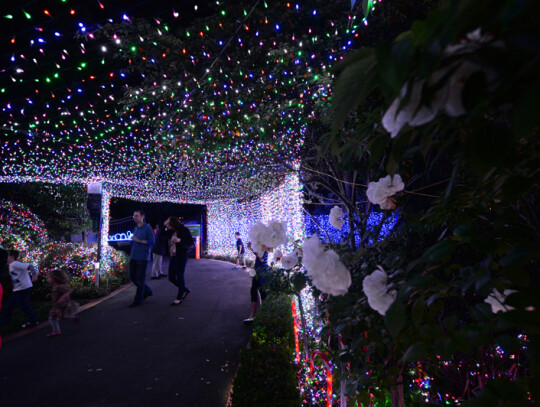 Christmas Lights World Record