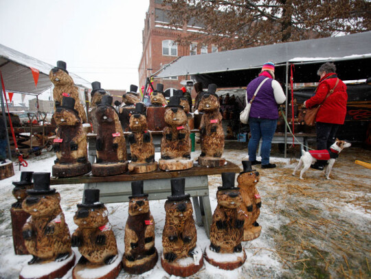Punxsutawney Phil predicts the Weather on Groundhog Day