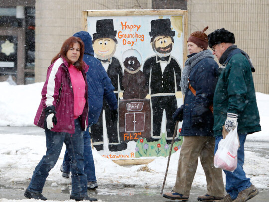 Punxsutawney Phil predicts the Weather on Groundhog Day