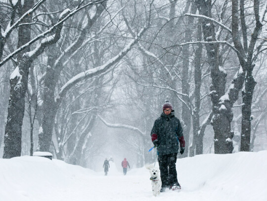 Record snowfall period in Boston