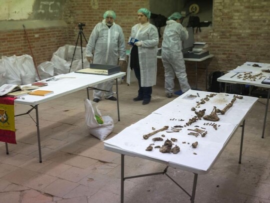 Continues the search for Miguel de Cervantes' human remains