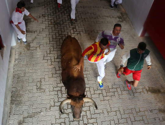 Festival of San Fermin Festival of San Fermin