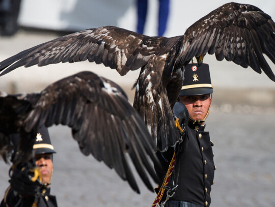 France Bastille Day celebrations