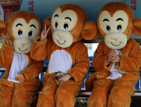 Chinese Lunar New Year festival preparations in Beijing