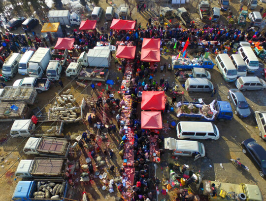 Chinese Lunar New Year preparations at rural market