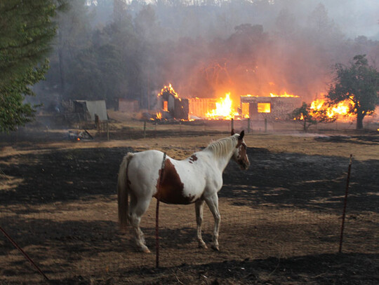 Clayton Fire in northern California