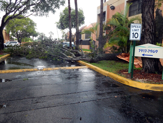 Hurricane Irma in Florida, USA