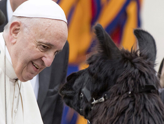 Pope Francis' General Audience, Vatican City, Vatican City State (Holy See) - 11 Apr 2018