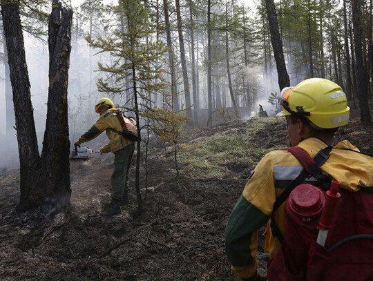 Wildfires in Siberia, -, Russian Federation - 01 Aug 2019