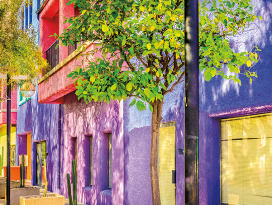 Downtown Tucson Arizona Colorful La Placita Village - Street View