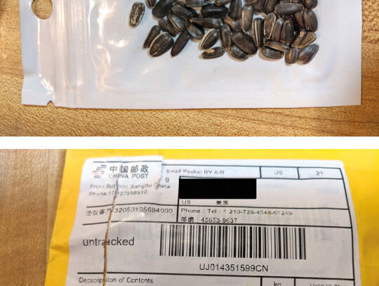 Seeds showing up in numerous US states appearing to have come from China, Columbus, USA - 28 Jul 2020