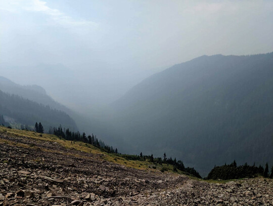 Zadymione Angry Mountain Trail fot. Mordechai Treiger