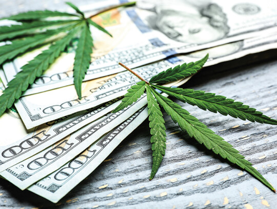 Hemp leaves and dollars on wooden background, closeup