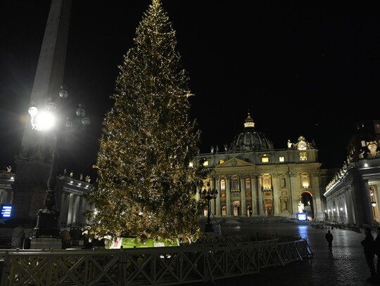 Christmas tree lighting and inauguration Nativity scene in St Peter's Square, Vatican City, Vatican City State Holy See - 11 Dec 2020