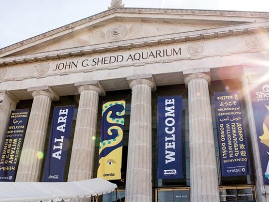 Shedd Aquarium fot. Shedd Aquarium