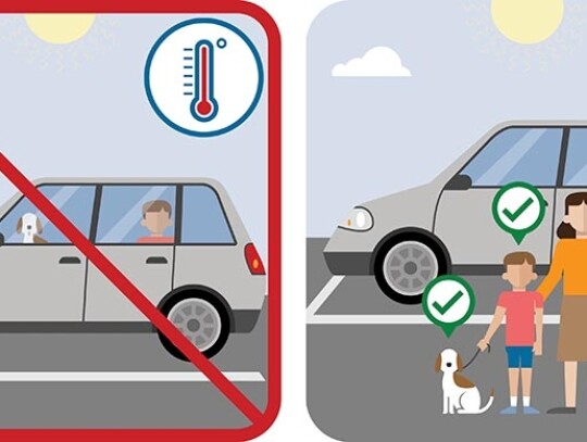 109.3700x1800 109.3700x1800