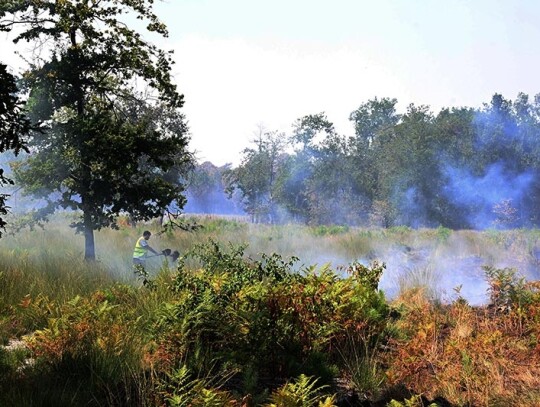 Wildfires in southwestern France, Belin Beliet - 11 Aug 2022