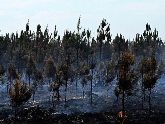 Wildfires in southwestern France, Belin Beliet - 11 Aug 2022