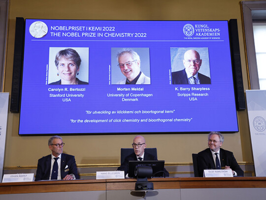 Announcement of 2022 Nobel Prize in Chemistry winners, Stockholm, Sweden - 05 Oct 2022