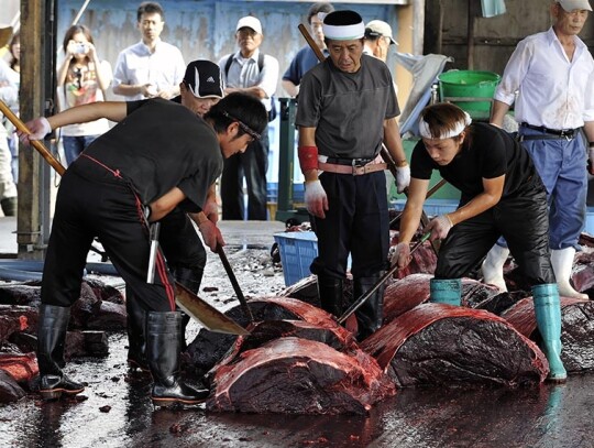 Japan Feature Package Whaling - Jul 2009