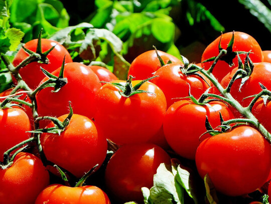 tomatoes-g2b5af1fca_1280