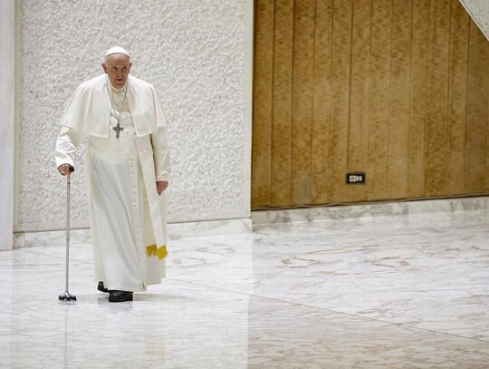 Papal Audience at The Vatican, Vatican City, Vatican City State Holy See - 25