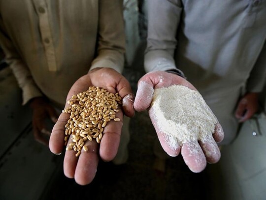 Wheat flour crisis in Pakistan, Peshawar - 11 Jan 2023