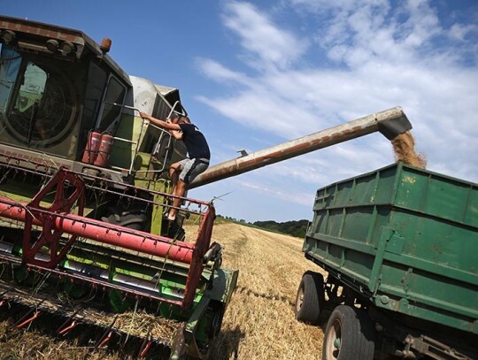 Wheat harvest in Bulgaria, Shabla - 10 Jul 2023