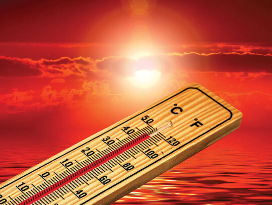 thermometer-4767444_1920