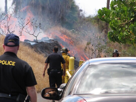 1024px-Starr-090709-2500-Thespesia_populnea-habit_with_brush_fire-Puamana-Maui_(24672697430)