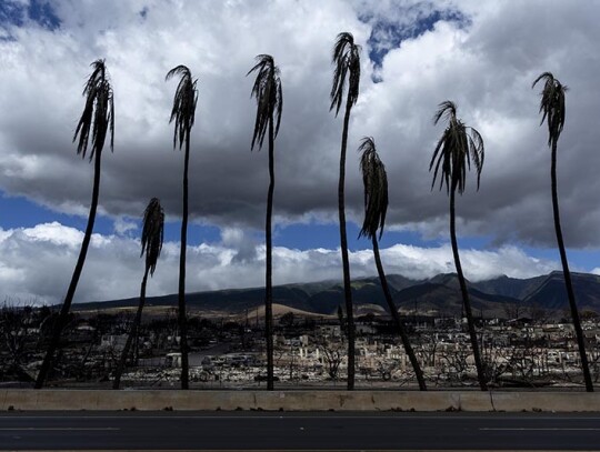 Lahaina wildfire aftermath in Hawaii, USA - 15 Aug 2023