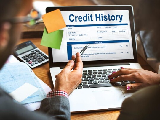 Credit History Invoice Payment Form Information Concept