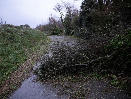 Storm Ciaran hits France's north-west coast, Kerlouan - 02 Nov 2023