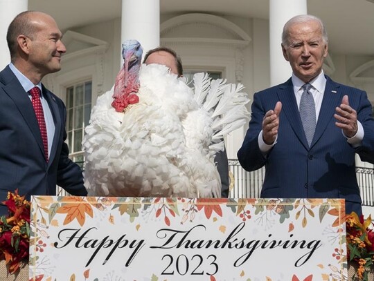 US President Biden pardons National Thanksgiving Turkey, Washington, USA - 20 Nov 2023