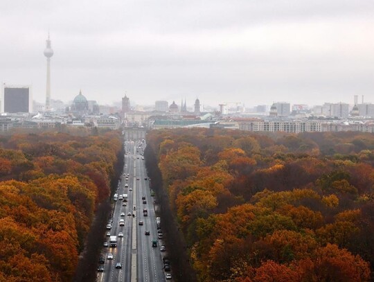 Autumn coloured foliage at Tiergarten park in Berlin, Germany - 21 Nov 2023