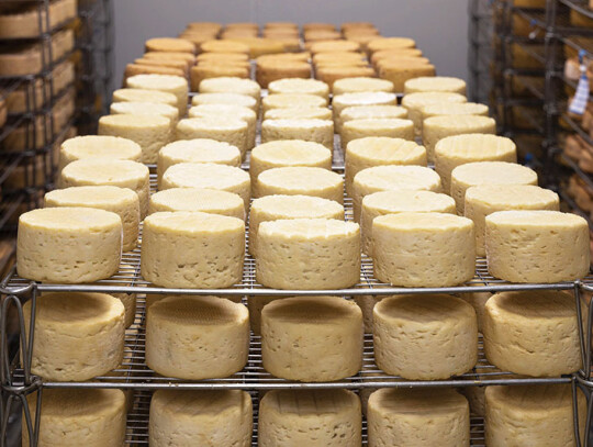 cheese-Pixabay