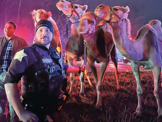 fot. Grant County Sheriff's Office - Marion, IN fot. Grant County Sheriff's Office - Marion, IN