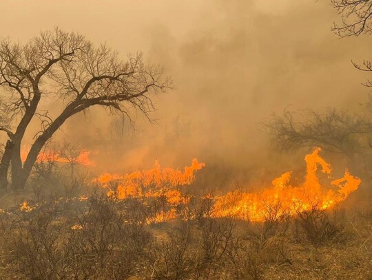 Wildfires in Texas Panhandle, USA - 28 Feb 2024