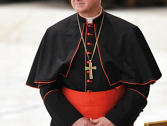 Pope Francis genaral audience, Vatican City, Vatican City State (Holy See) - 07 Feb 2018