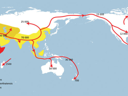 Spreading_homo_sapiens_la_Wiki