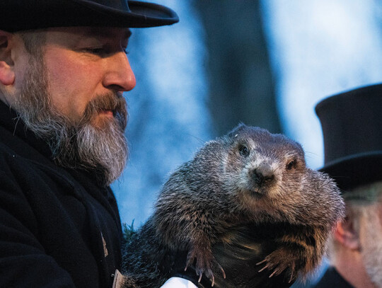 Punxsutawney_Phil_Groundhog_Day_2022_Pennsylvania_Wiki