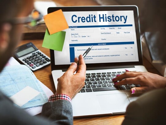 Credit History Invoice Payment Form Information Concept