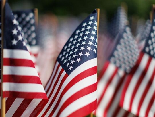 Volunteers plant flags for Memorial Day Flag Garden on Boston Common, USA - 22 May 2024