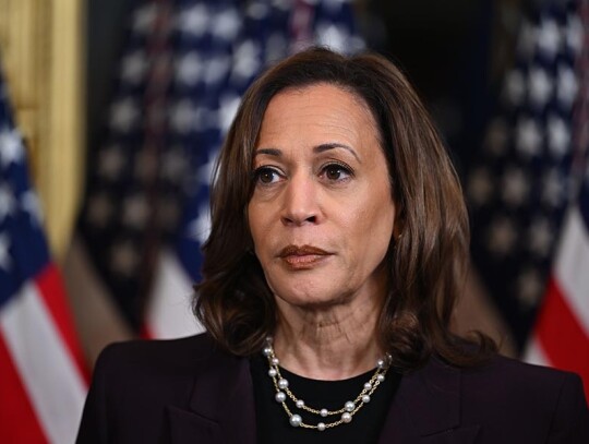 Israel Prime Minister Benjamin Netanyahu meets with US Vice President Kamala Harris at the White House, Washington, USA - 25 Jul 2024