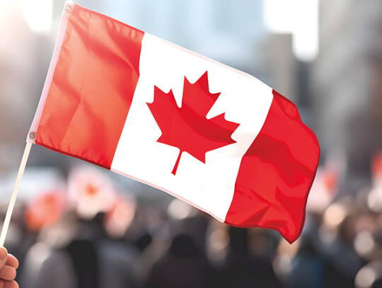 Close-up of a hand holding a small Canadian flag, blurred backgr