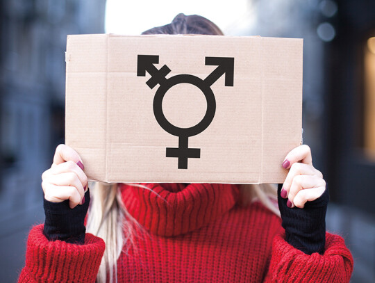 The symbol of the transgender in hands on a cardboard plate, cov